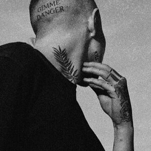 Meet your Posher, Black Flamingo.